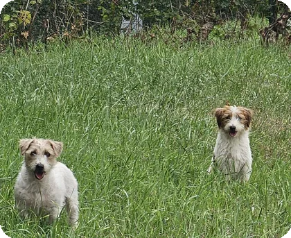 Moeder Zita en dochter Carien van het Insula Maris in het gras