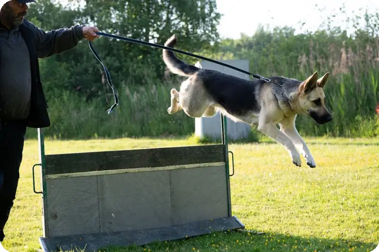 Norah van het Insula Maris springt over een trainingshorde op het veld